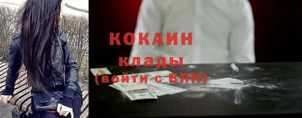 тгк Арсеньев