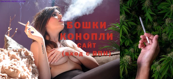 тгк Арсеньев